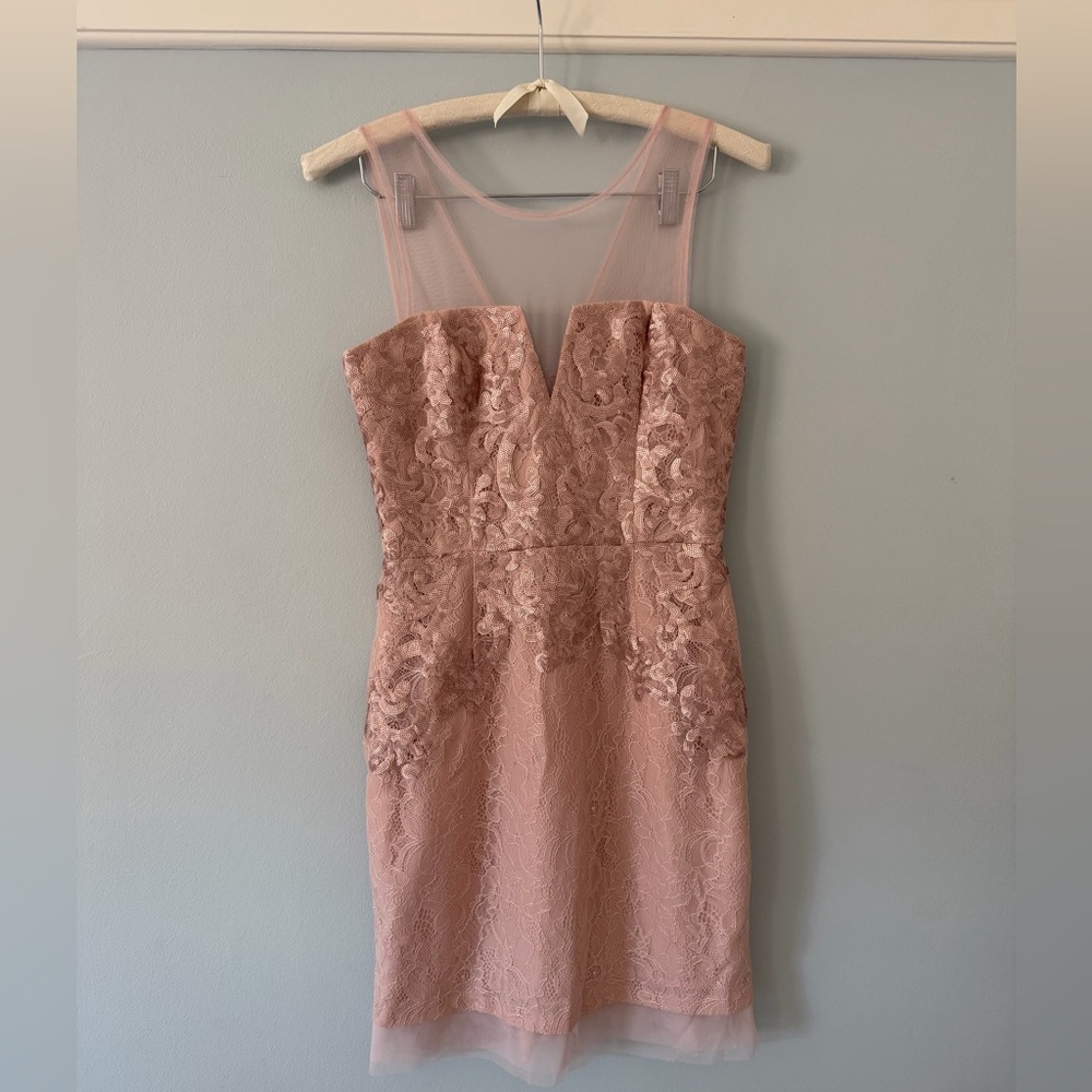 Like New - BCBGMaxAzria Abigail Dusty Pink Lace Dress (US 4)